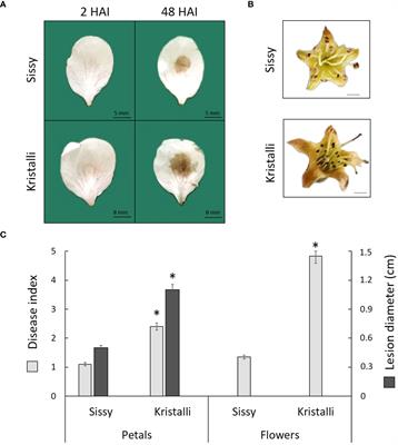 Comparative transcriptome profiling and co-expression network analysis uncover the key genes associated with pear petal defense responses against Monilinia laxa infection